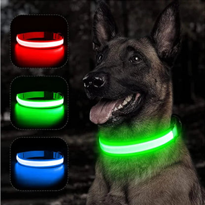 High Visibility Safety Dog Collar