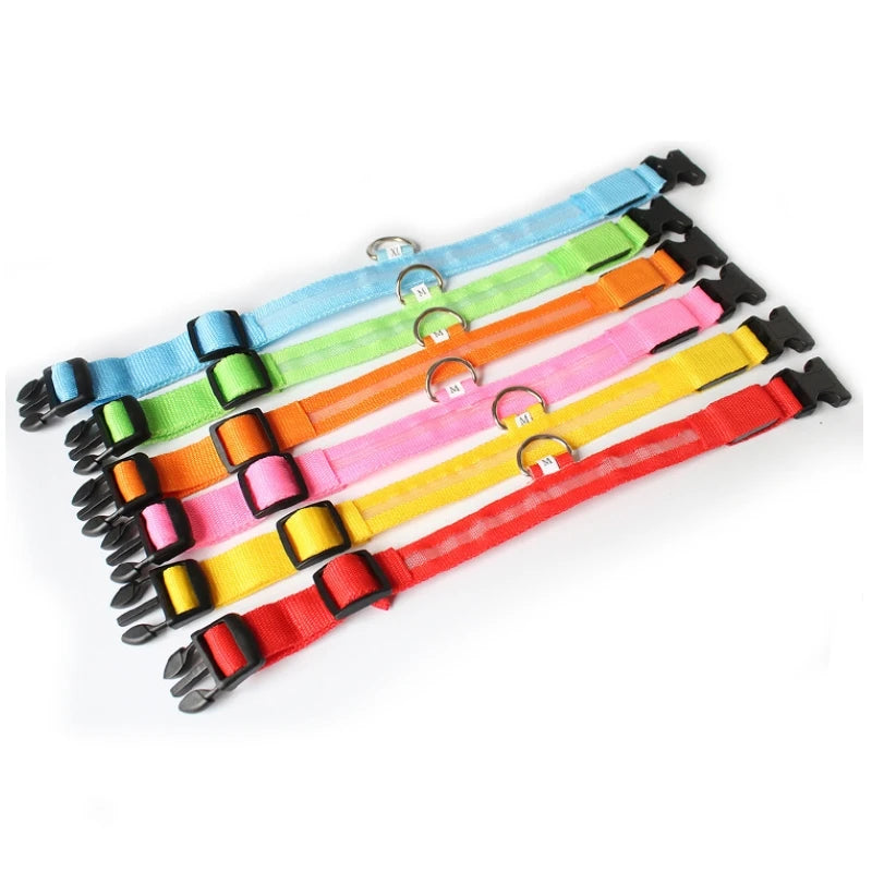 High Visibility Safety Dog Collar