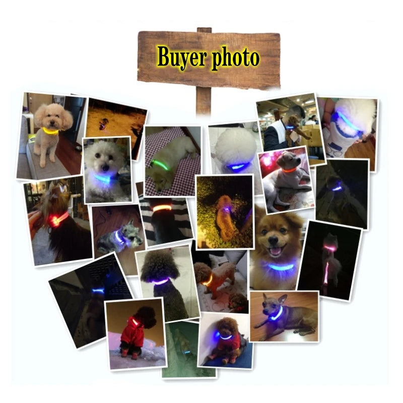 High Visibility Safety Dog Collar