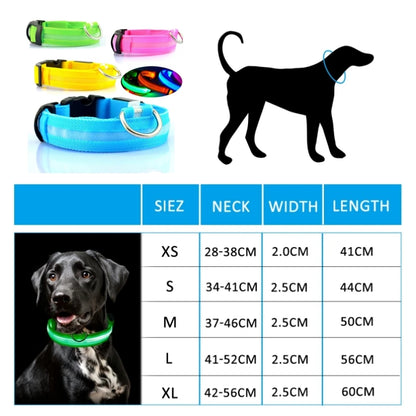 High Visibility Safety Dog Collar