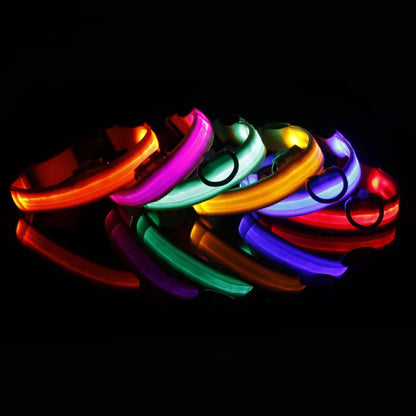 High Visibility Safety Dog Collar