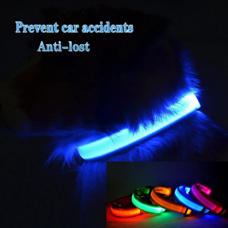 High Visibility Safety Dog Collar