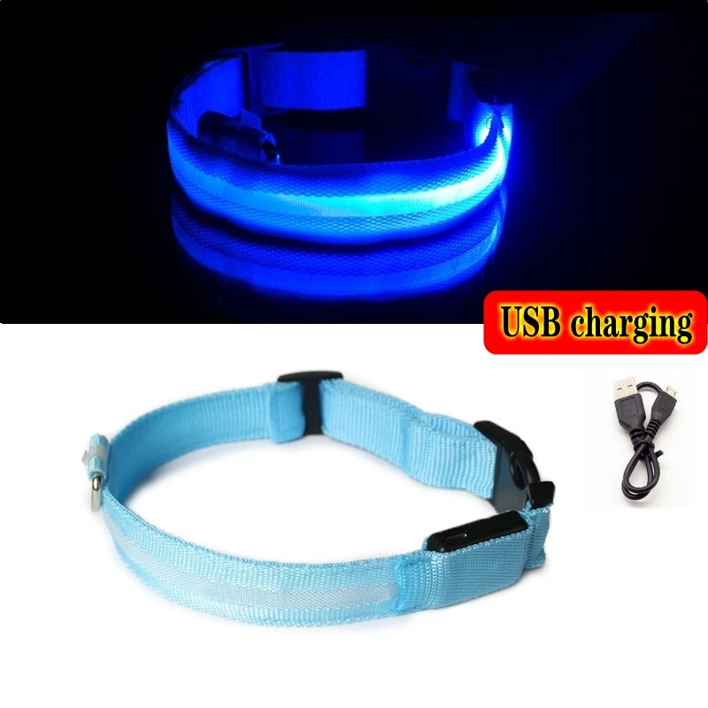 High Visibility Safety Dog Collar