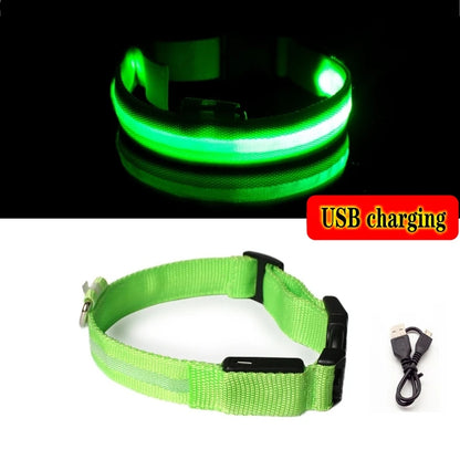 High Visibility Safety Dog Collar