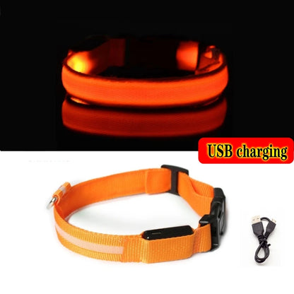 High Visibility Safety Dog Collar
