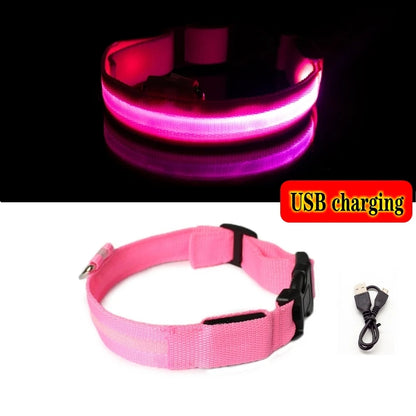High Visibility Safety Dog Collar