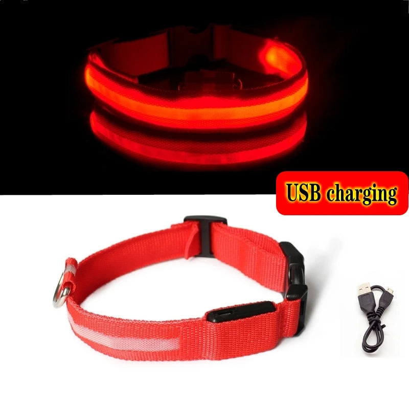 High Visibility Safety Dog Collar