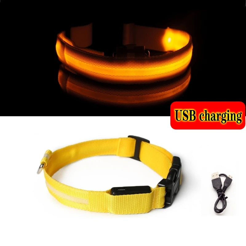 High Visibility Safety Dog Collar